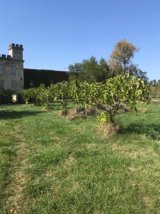 Loft + 2 Chambres Chateau Gourdet Bourg-sur-Gironde Экстерьер фото