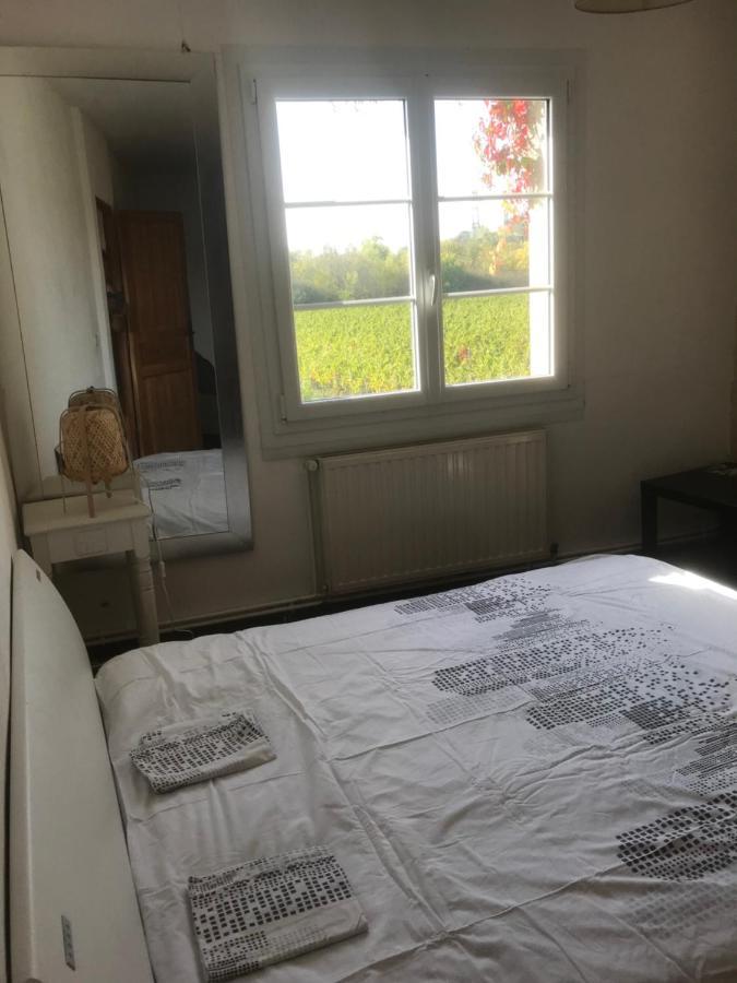 Loft + 2 Chambres Chateau Gourdet Bourg-sur-Gironde Экстерьер фото