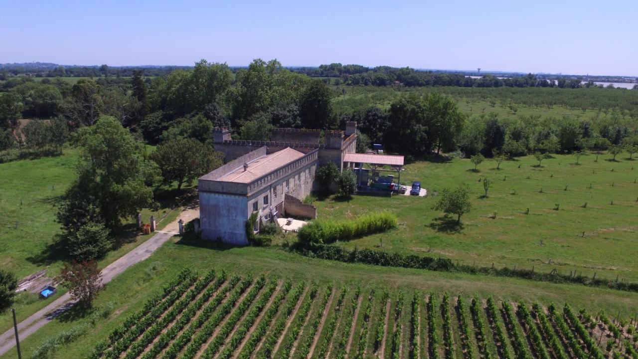Loft + 2 Chambres Chateau Gourdet Bourg-sur-Gironde Экстерьер фото