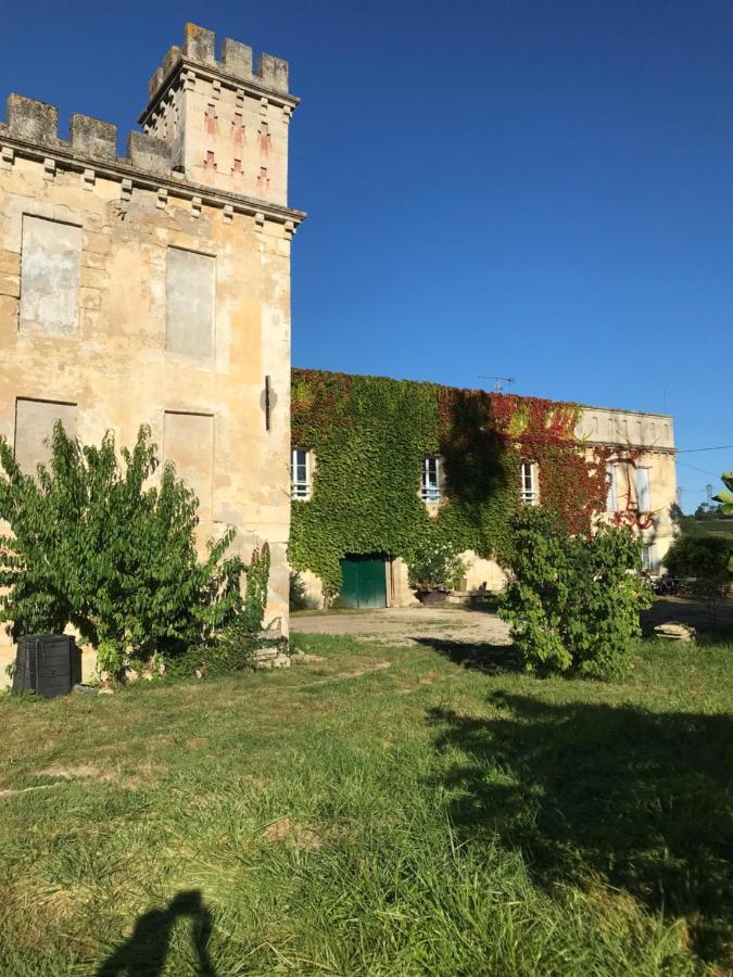 Loft + 2 Chambres Chateau Gourdet Bourg-sur-Gironde Экстерьер фото