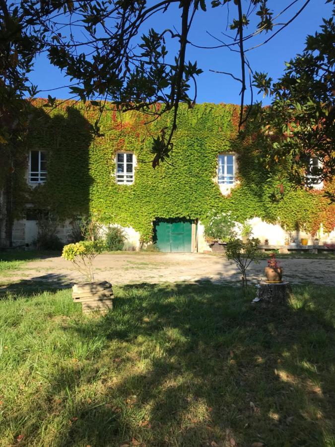 Loft + 2 Chambres Chateau Gourdet Bourg-sur-Gironde Экстерьер фото
